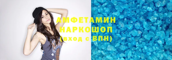 гидра Бородино