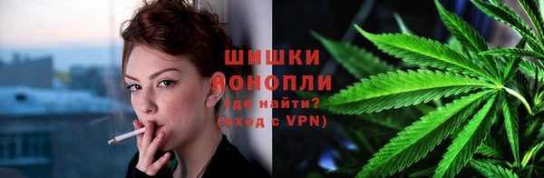 гидра Бородино