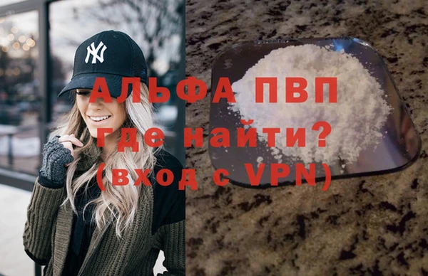 гидра Бородино