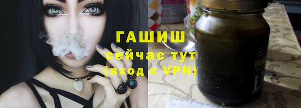 индика Бугульма