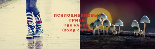 индика Бугульма