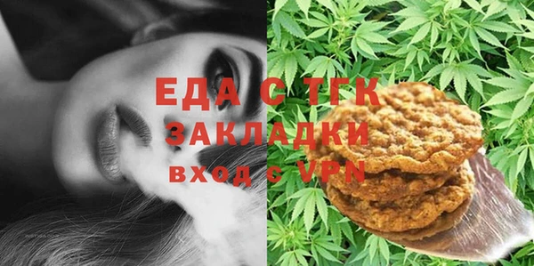 индика Бугульма