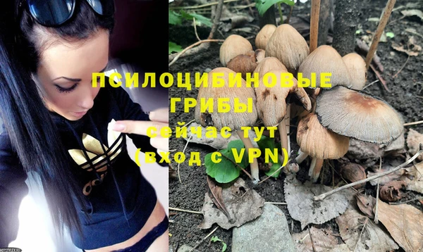индика Бугульма